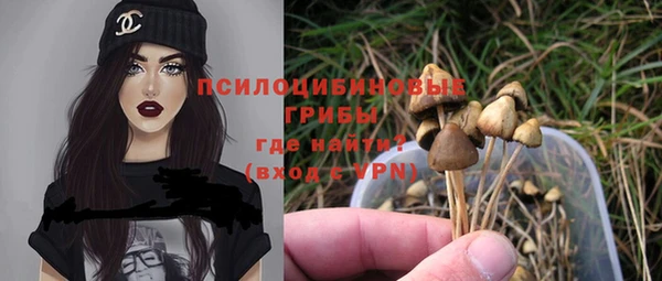 MESCALINE Бородино