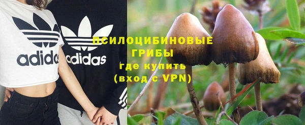 MESCALINE Бородино